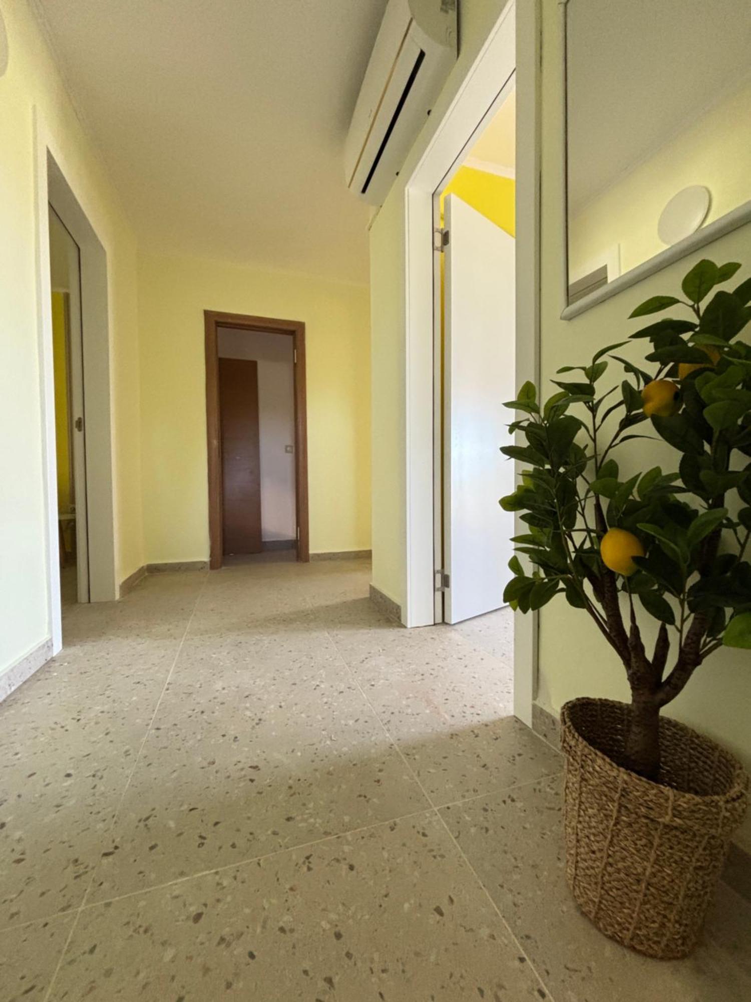 Vuko I Magalena Midzor Apartman *